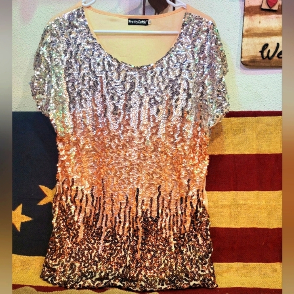 Gorgeous and soft! Pretty guide sequin blouse . Size M